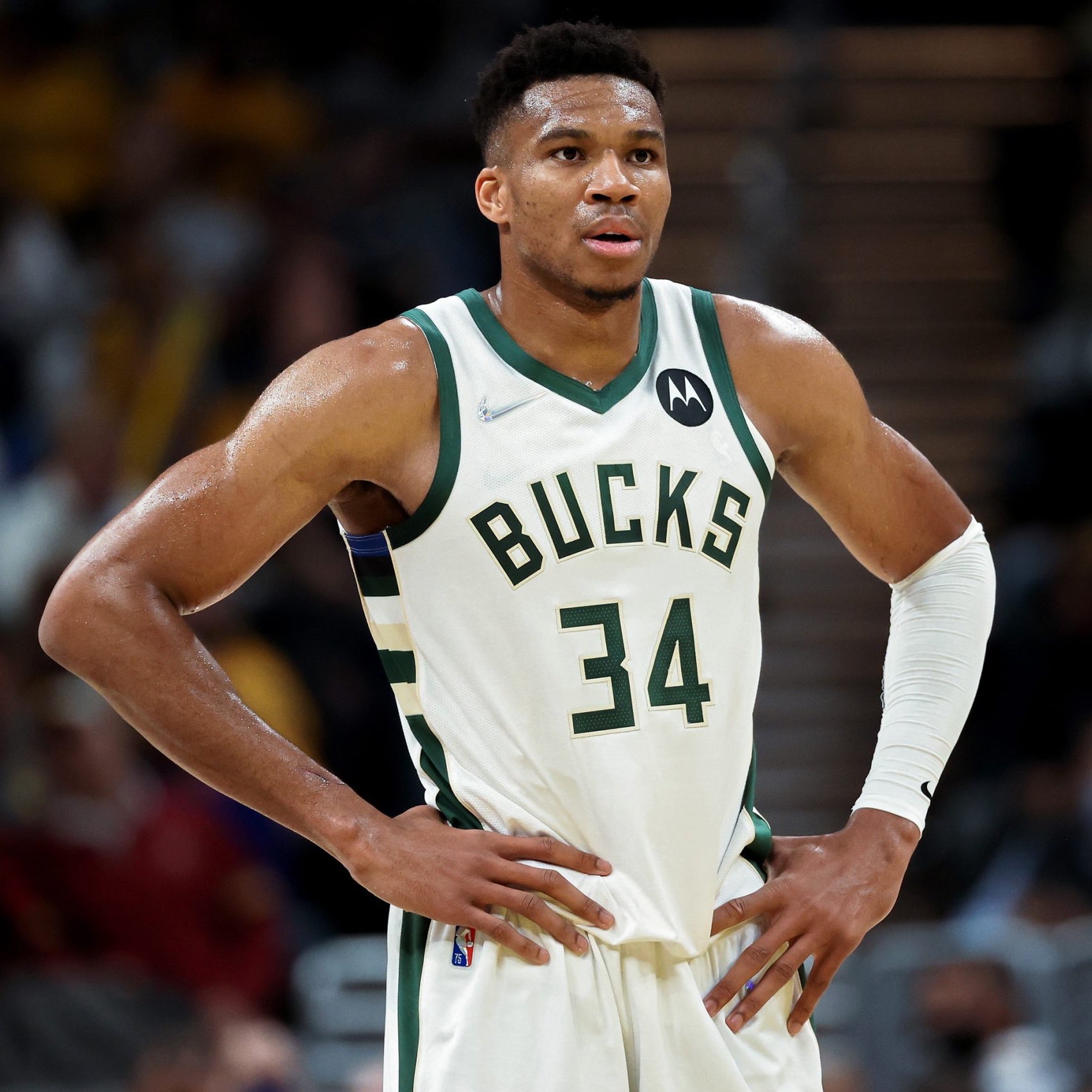 多米入口 -关于密尔沃基雄鹿赛前篮板制胜，志在NBA总决赛名次提升，管理层满意，团队化学反应显著的信息